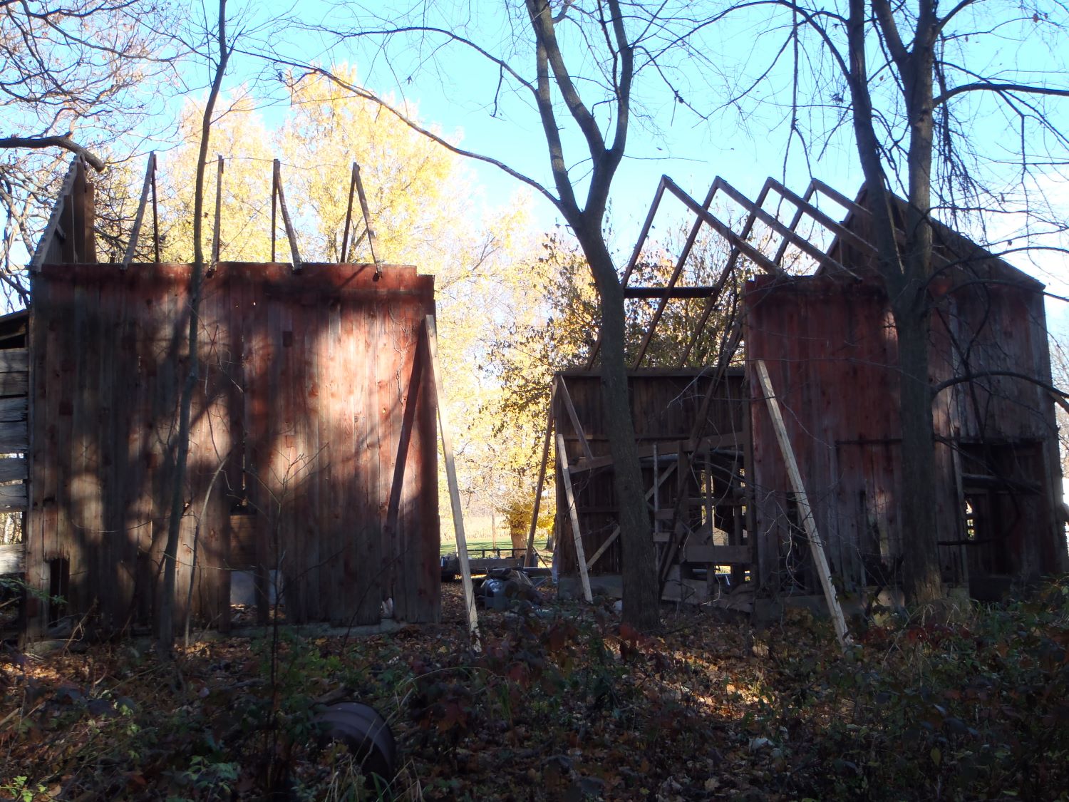 Starting the deconstruction of a Michigan barn in order to repurpose the old wood