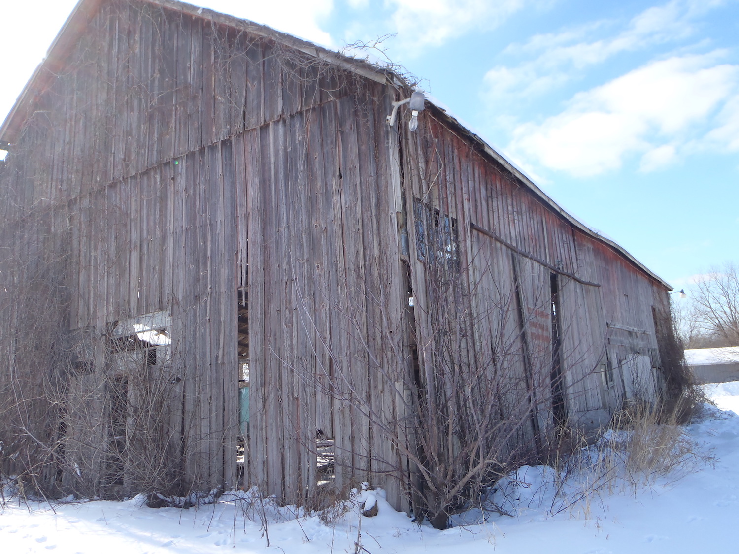 A red barn in Superior Township, MI in the middle of winter