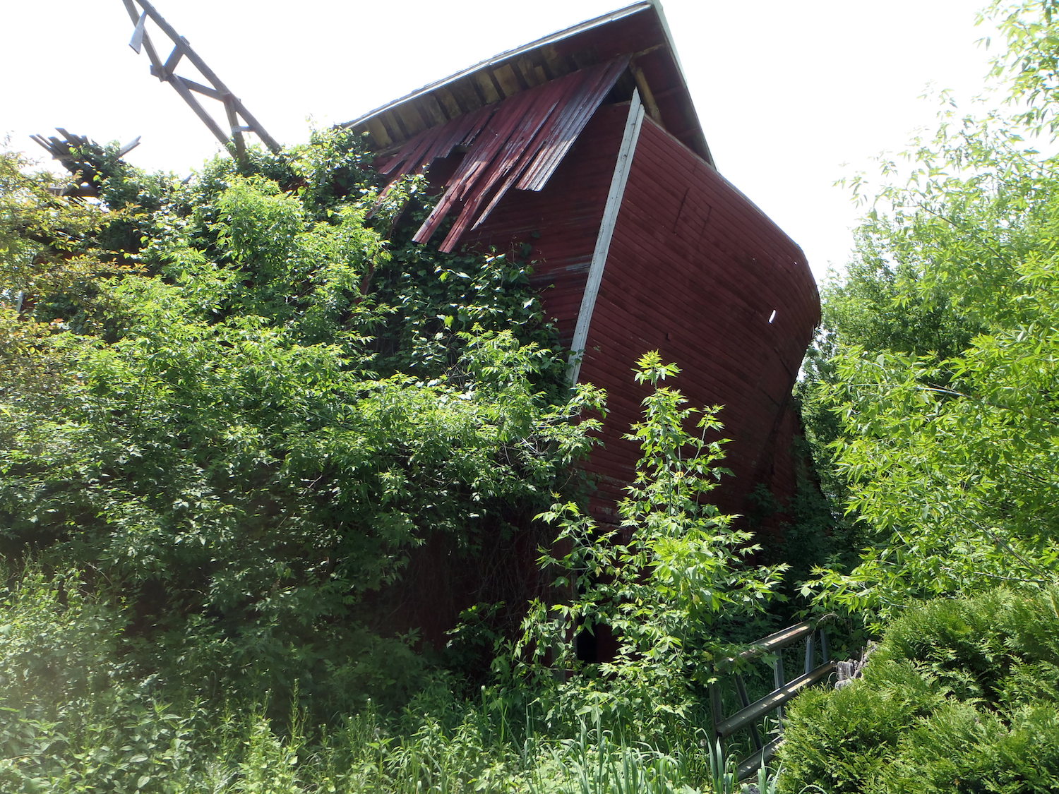 A dilapidated barn overgrown by trees in Howell, MI