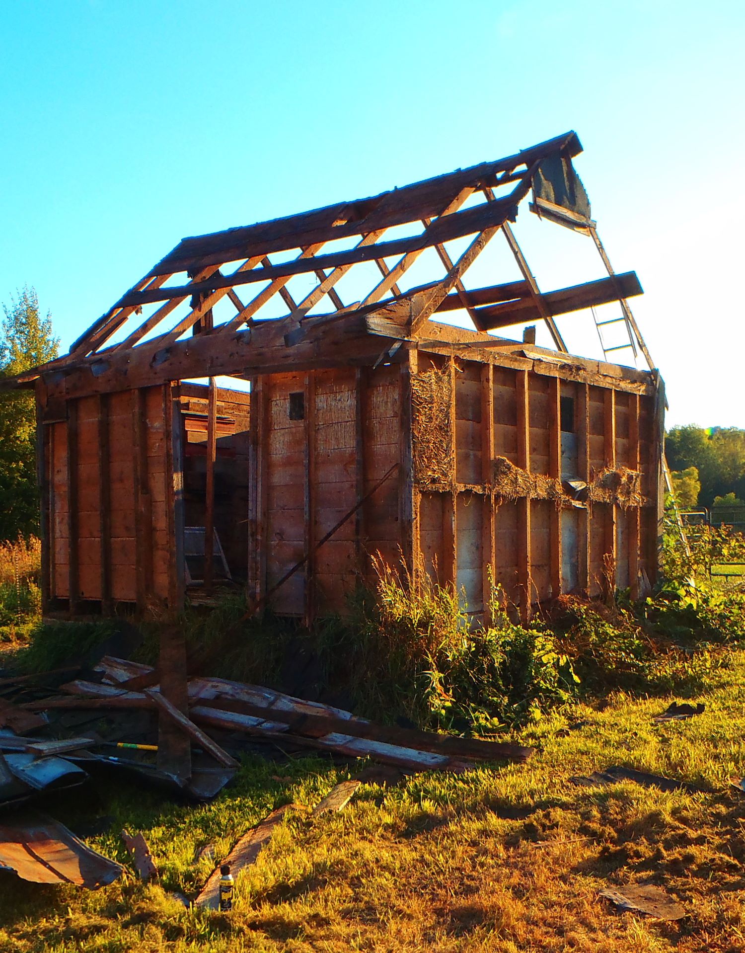 The shell of a 200 year old barn in Evart, MI