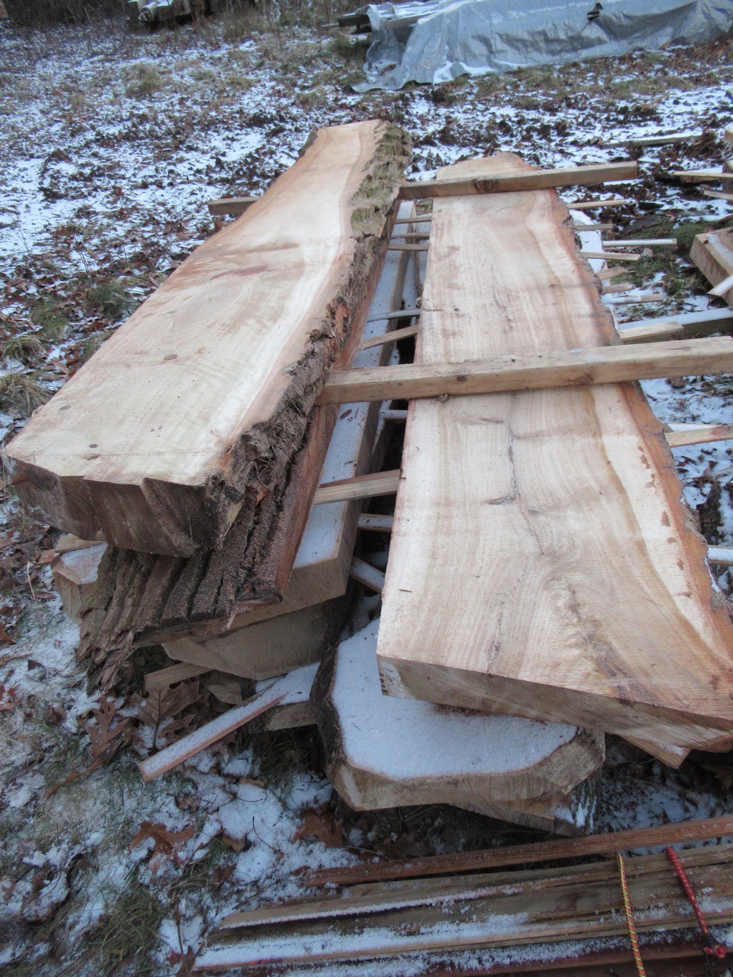 Walnut live edge slabs stacked outside the sawmill