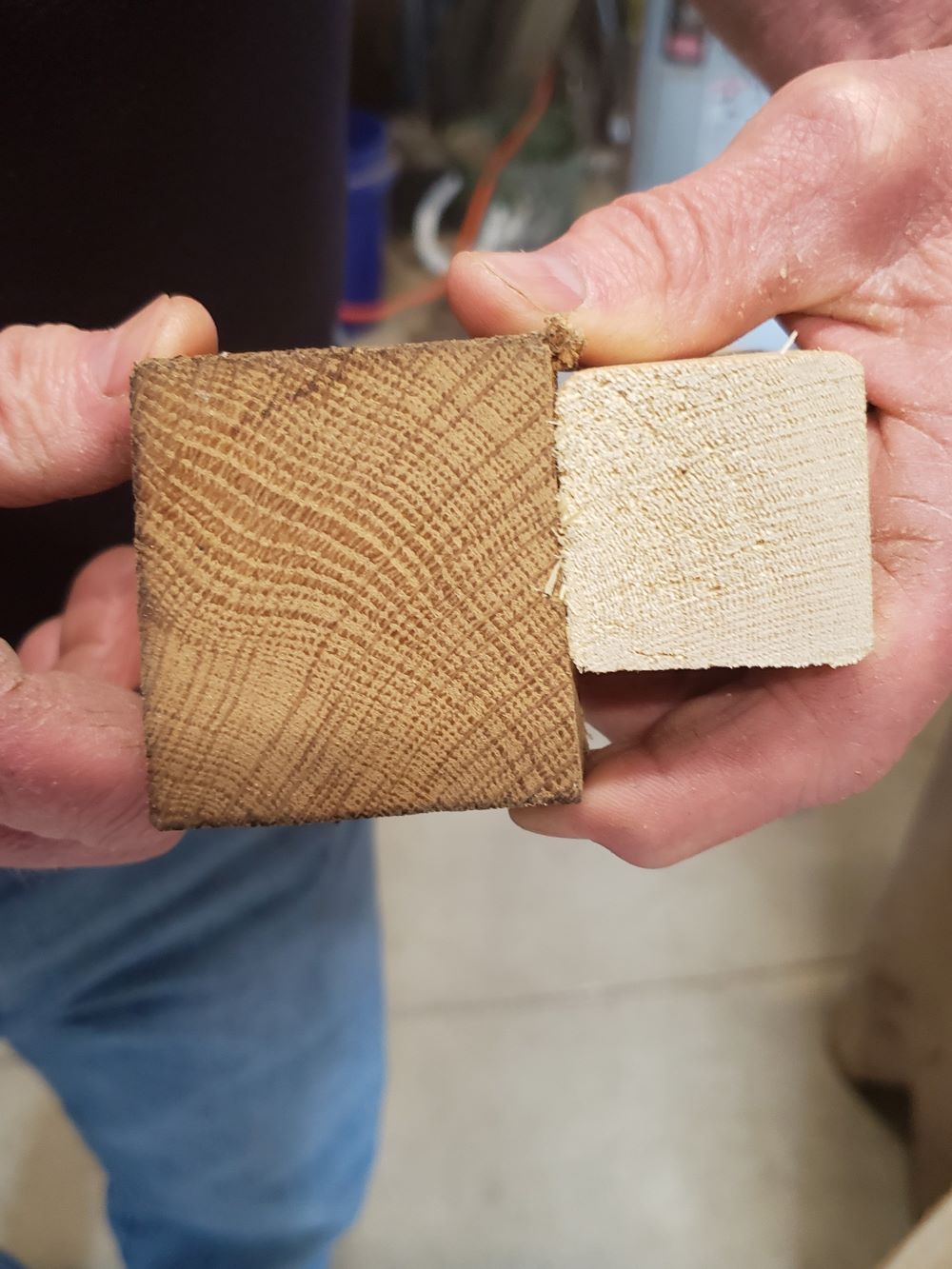A side-by-side comparison of old growth and new growth wood