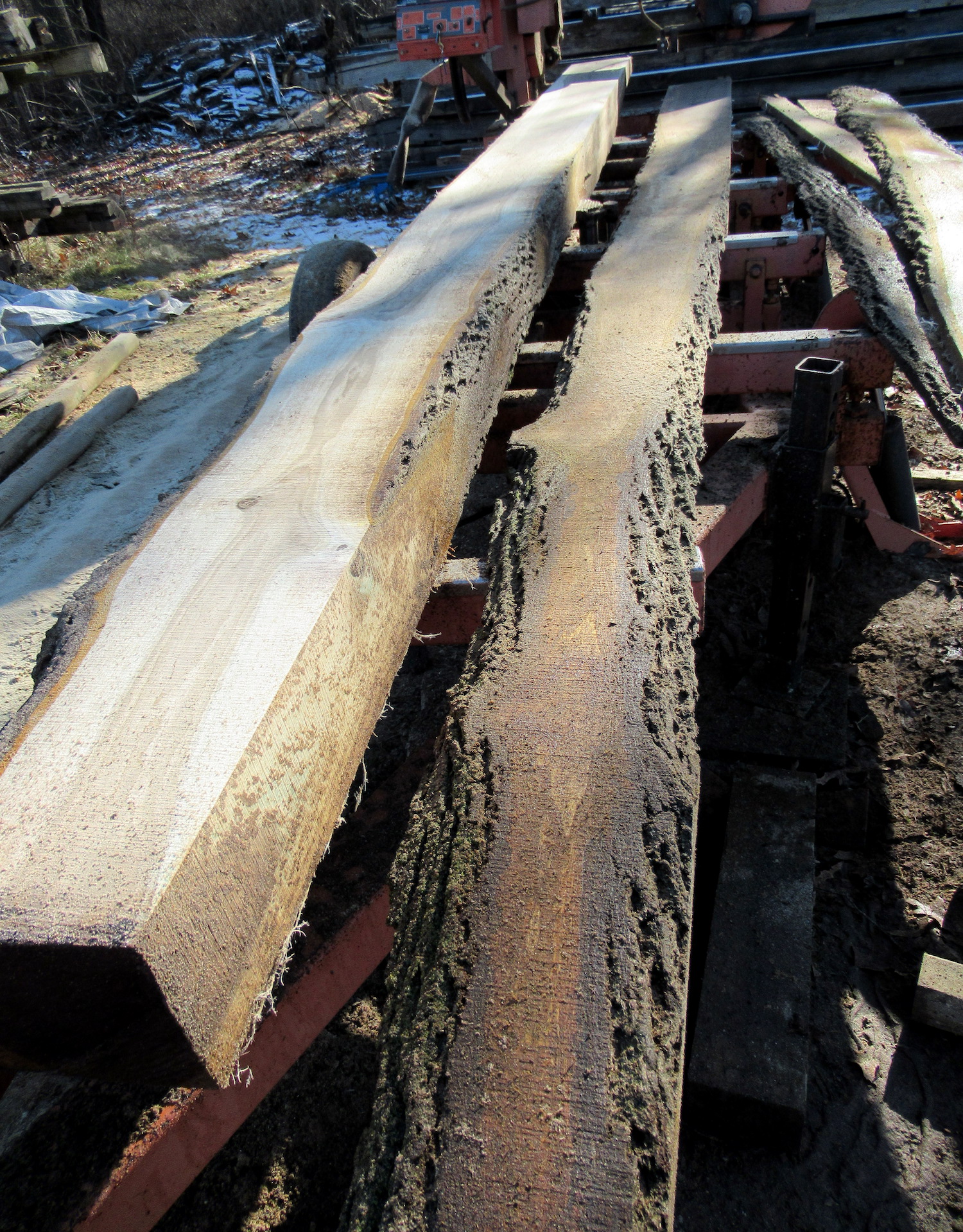 A photo of freshly sawn live edge slabs on our saw mill