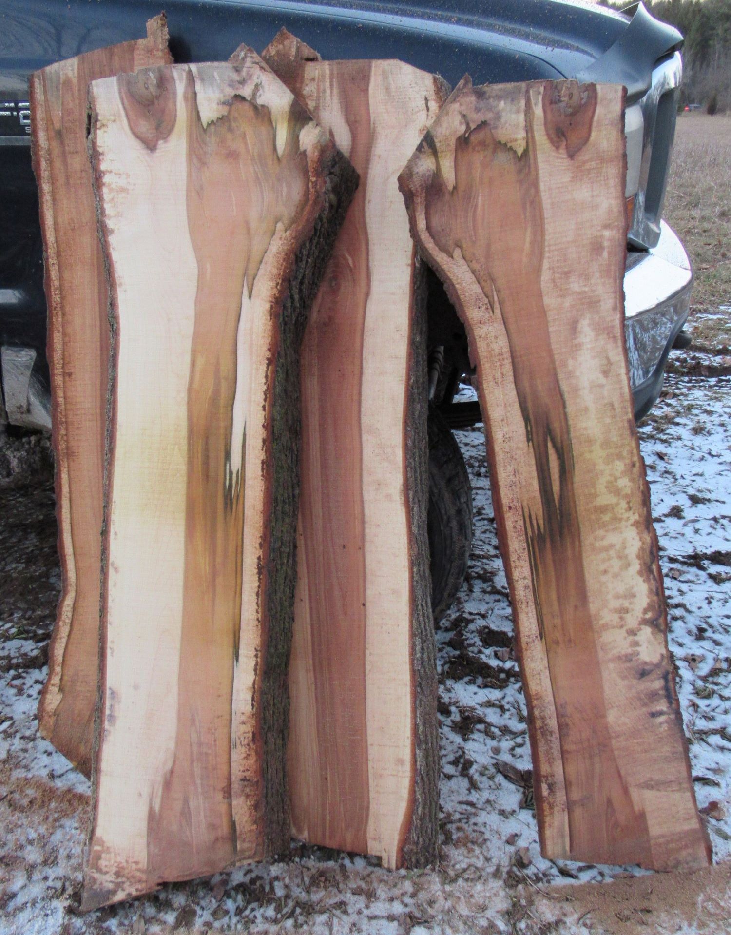 Freshly milled maple slabs propped up against the work truck at our sawmill