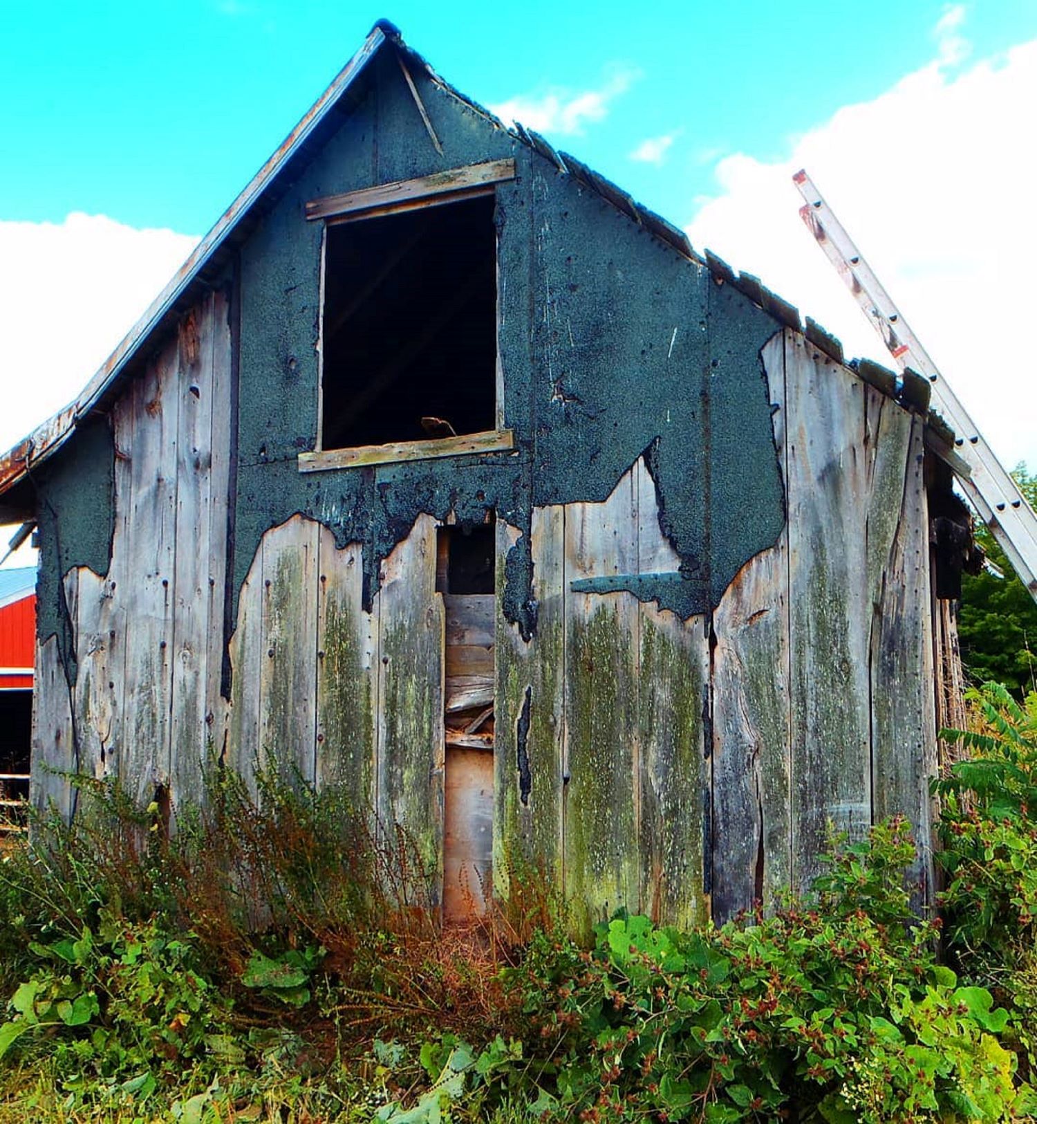 A 250 year old shot gun shed from Evart, Michigan