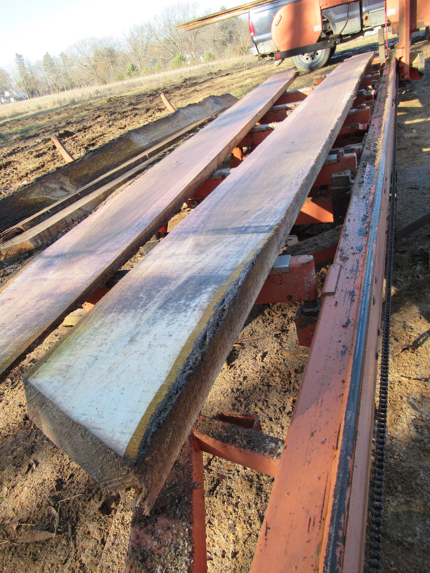 Black walnut live edge slabs at the sawmill