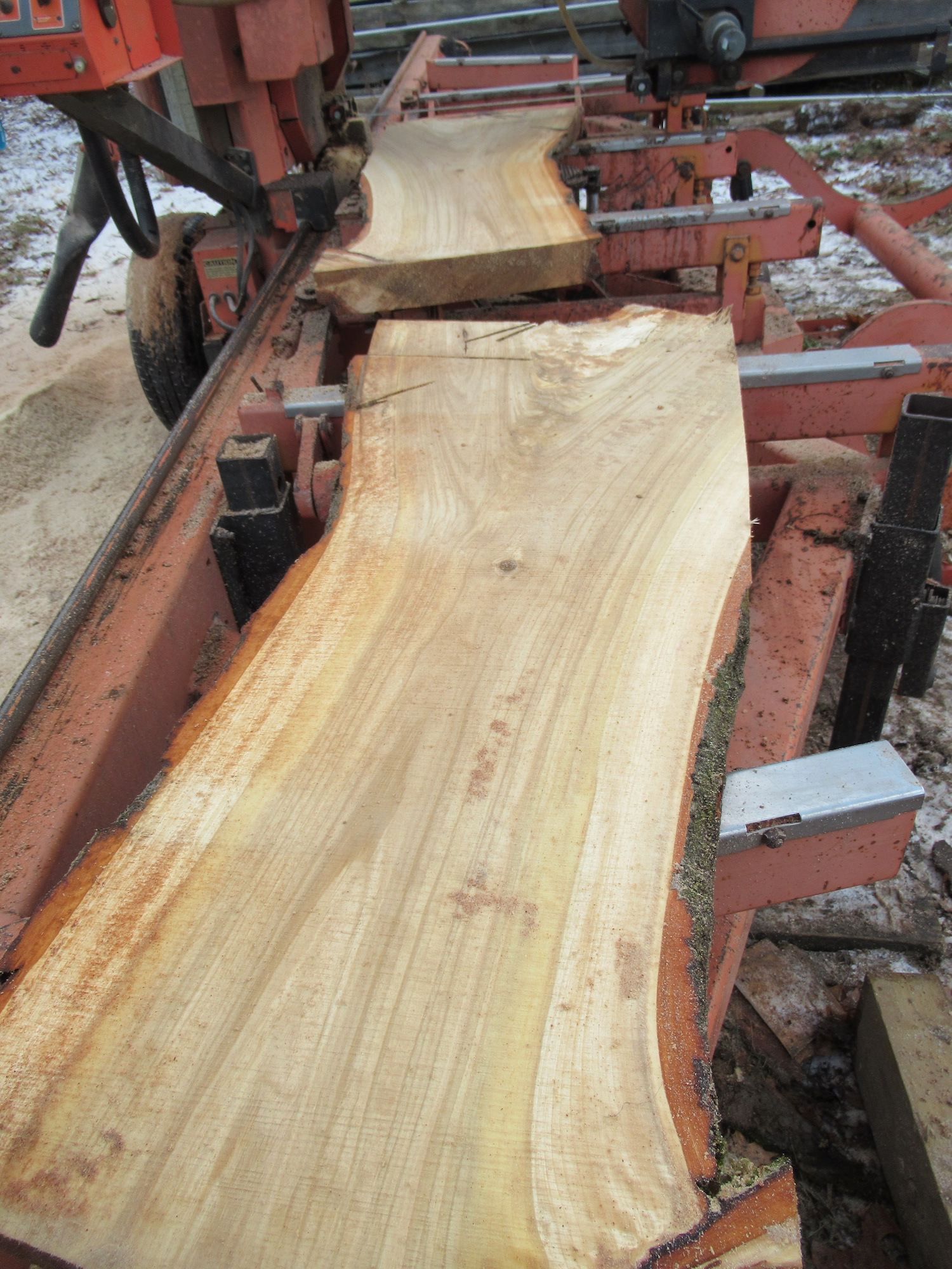 A maple live edge slab sitting on our band sawmill
