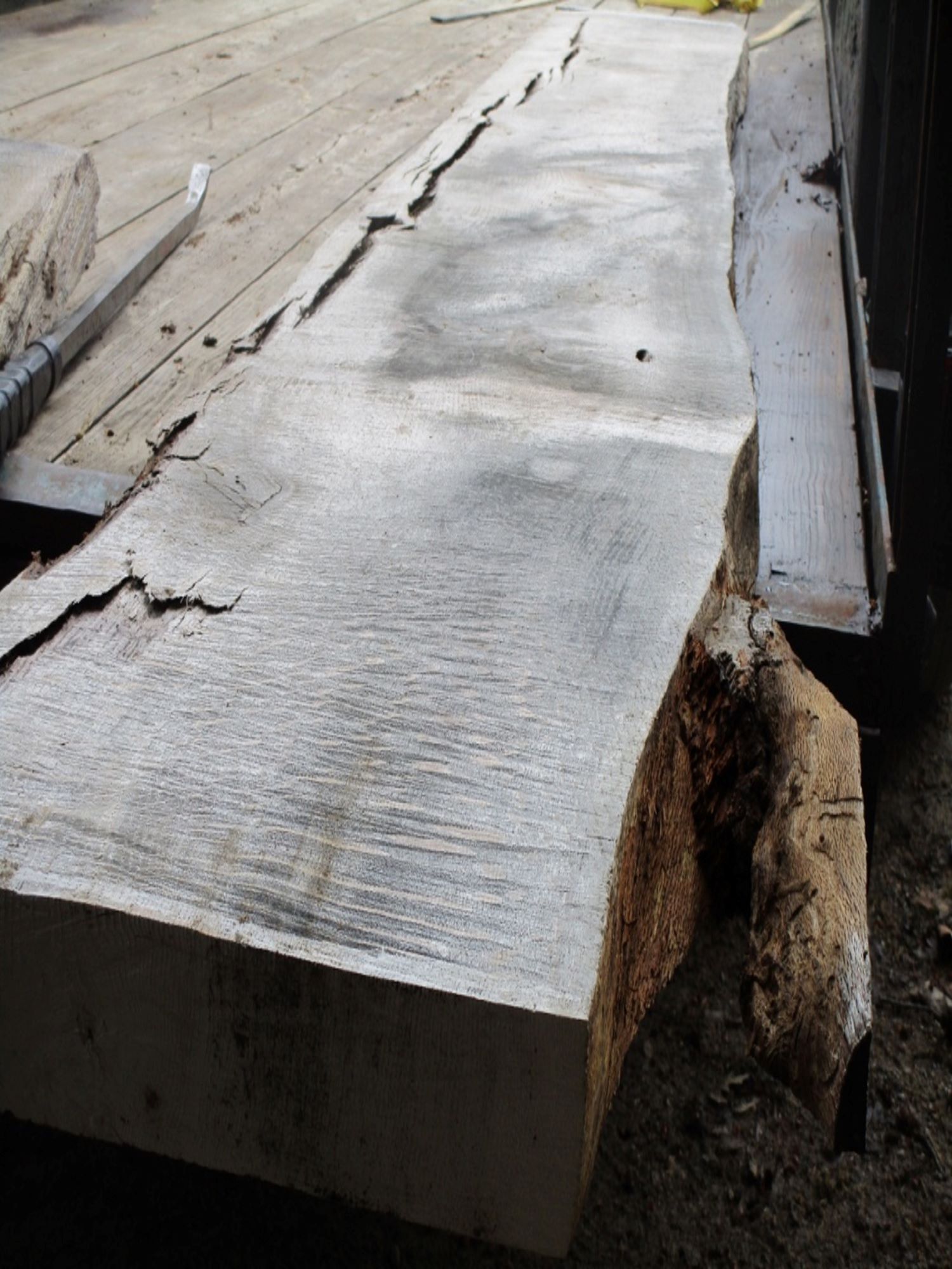 Close up of a freshly milled red oak slab