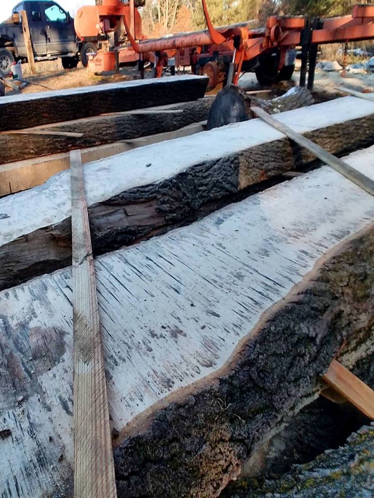 Maple live edge slabs with visible saw marks