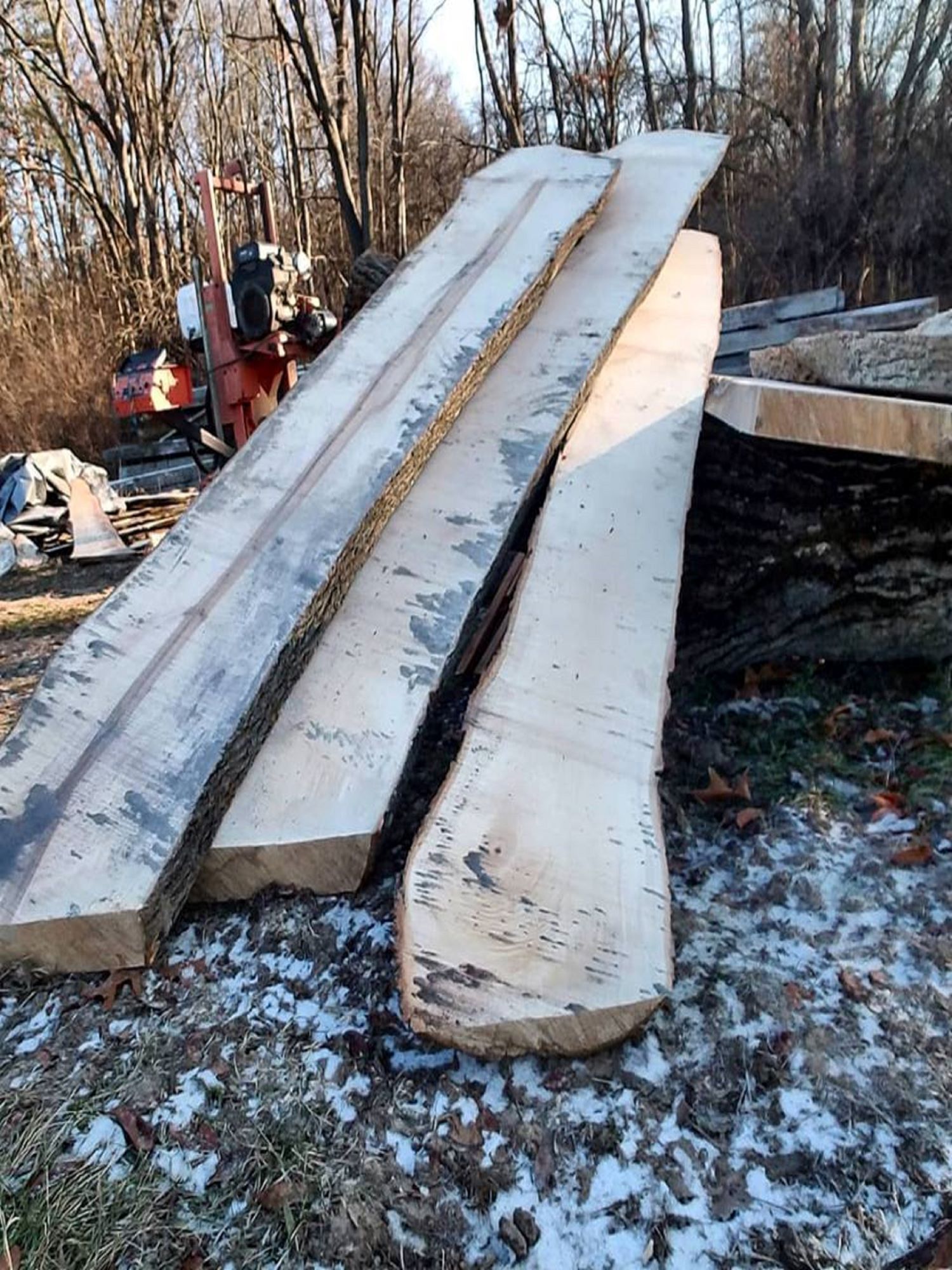 Silver maple milled at our sawmill