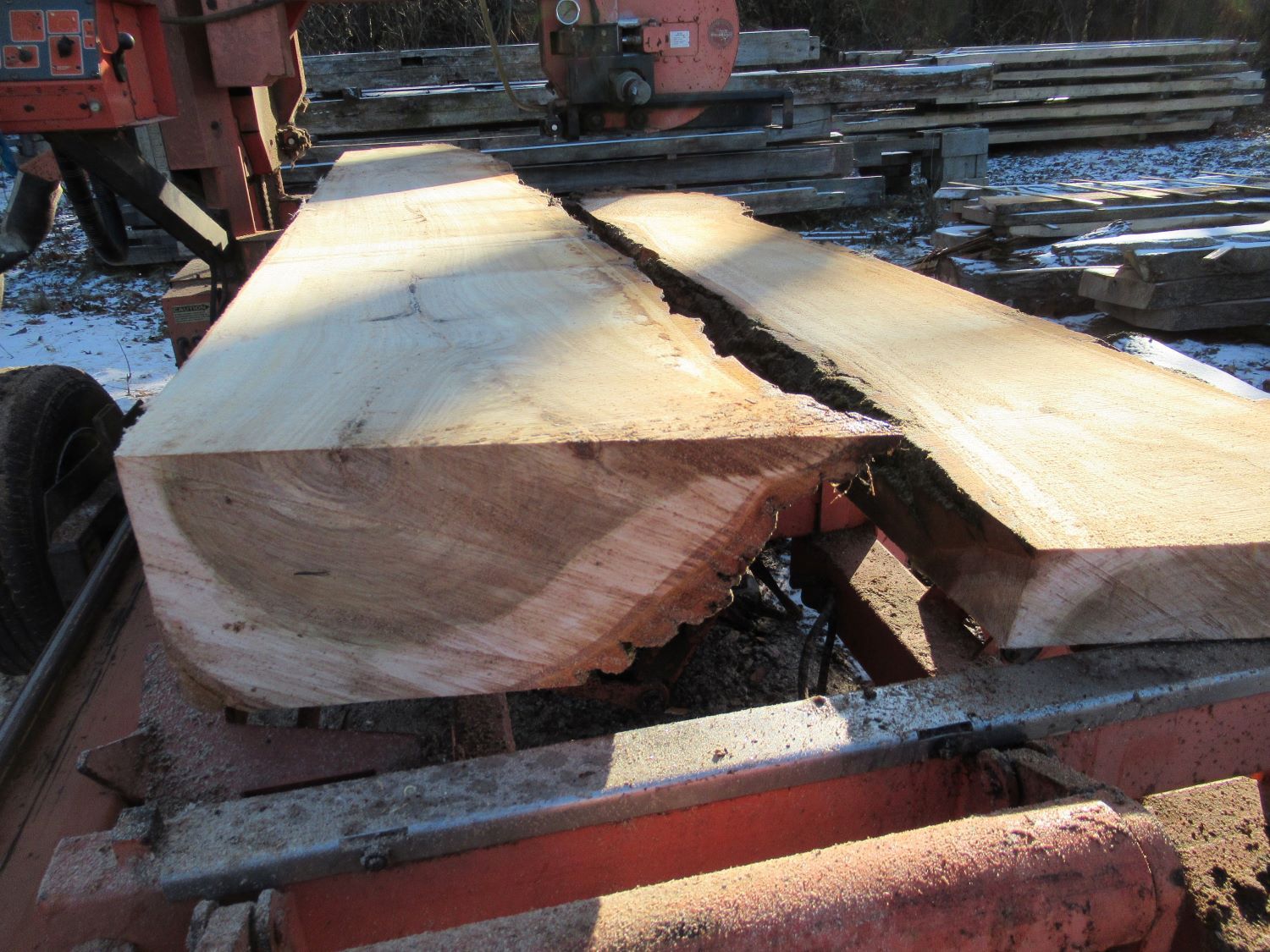 A freshly sawn black walnut log on our band sawmill