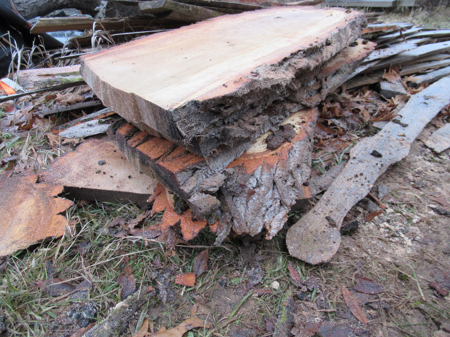 Freshly sawn slabs on the sawmill